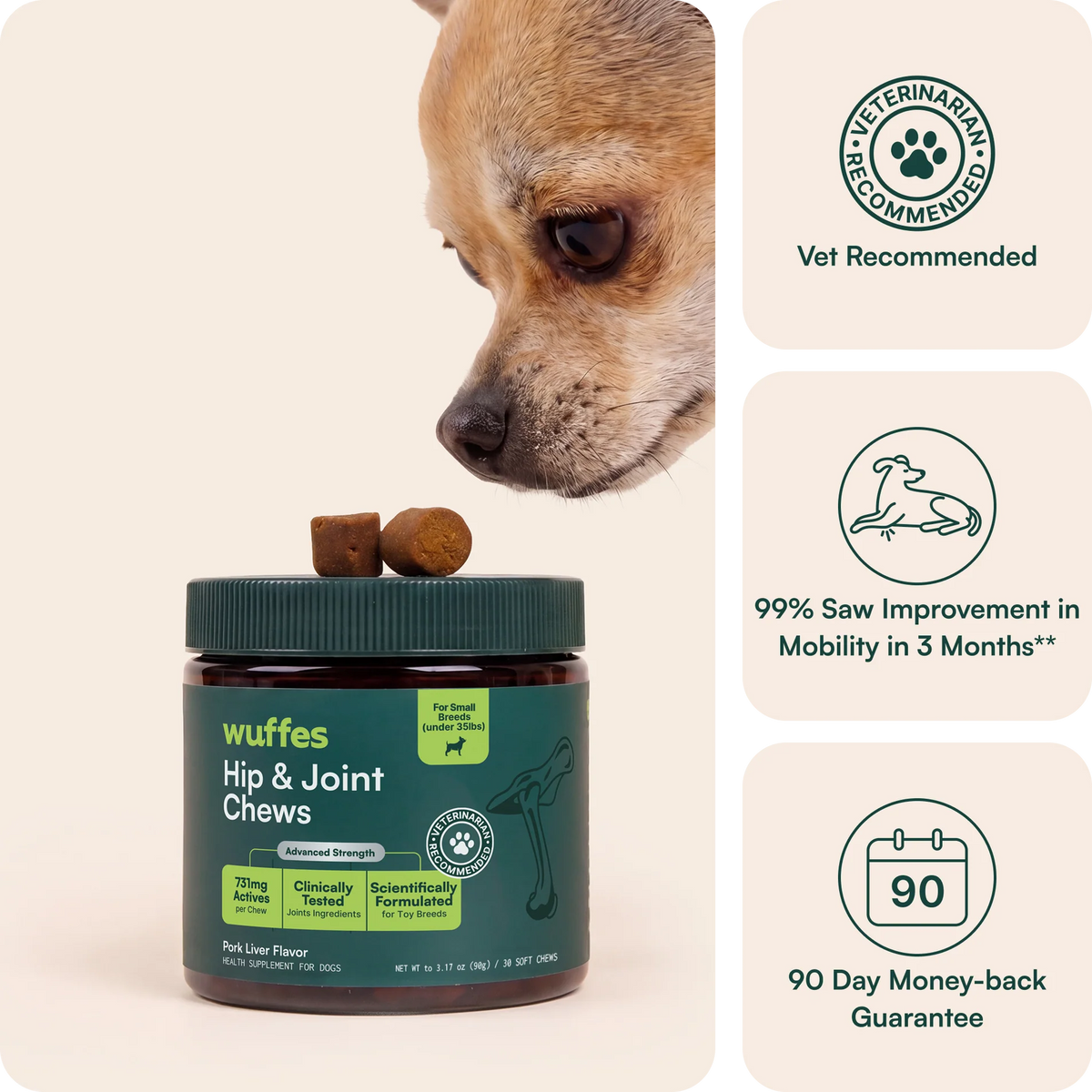 Hip & Joint Supplement Chews for Dogs