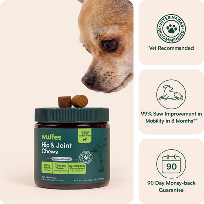 Hip & Joint Supplement Chews for Dogs