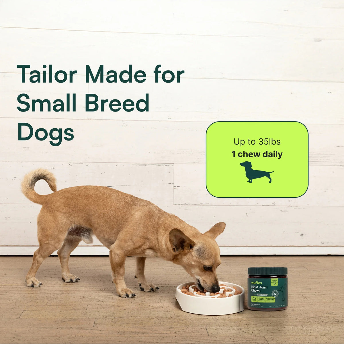 Hip & Joint Supplement Chews for Dogs