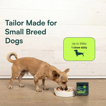 Hip & Joint Supplement Chews for Dogs
