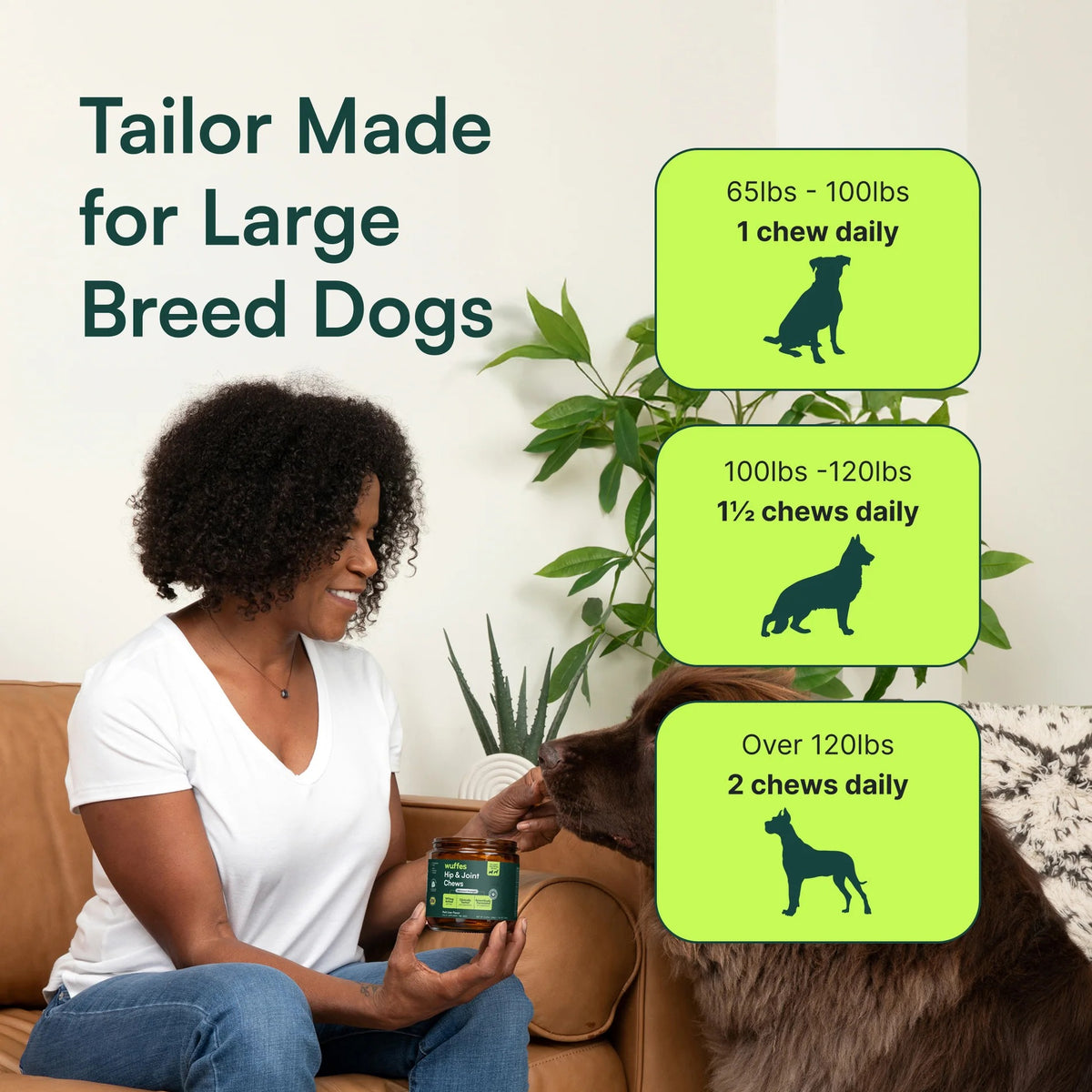 Hip & Joint Supplement Chews for Dogs
