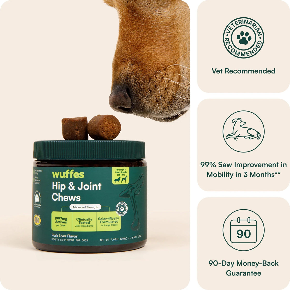 Hip & Joint Supplement Chews for Dogs
