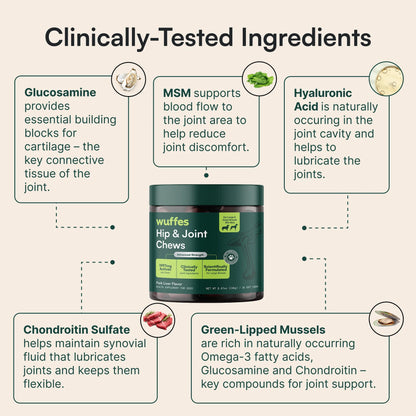 Hip & Joint Supplement Chews for Dogs
