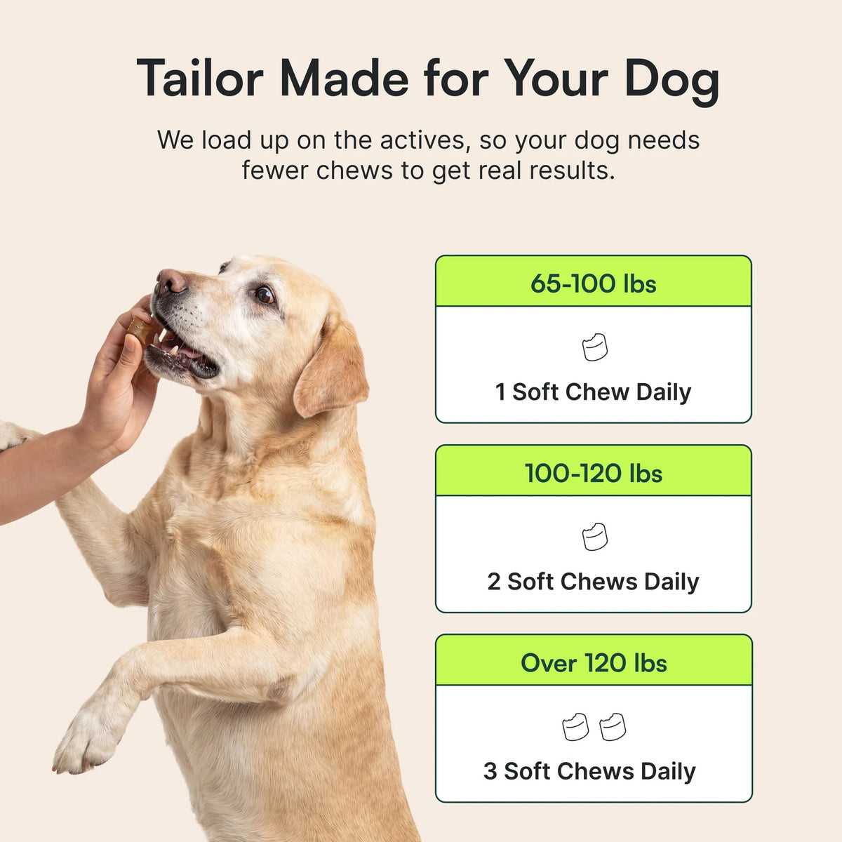 Hip & Joint Supplement Chews for Dogs