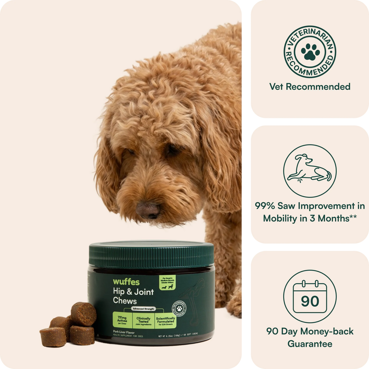 Hip & Joint Supplement Chews for Dogs
